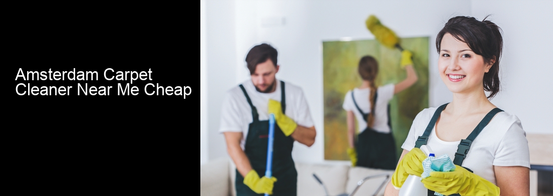 Amsterdam Carpet Cleaner Near Me Cheap